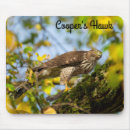 Search for cooperation mouse mats Wildlife