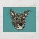 Search for puppy drawing postcards Animal lover