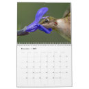 Search for hummingbird calendars Wildlife