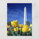 Search for tidal basin postcards Washington dc