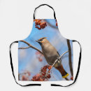 Search for majestic aprons Wildlife