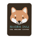 Search for inus magnets Shiba