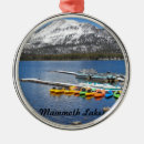 Search for kayak christmas tree decorations Lake