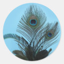 Search for indian peacock stickers Feather