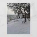 Search for bench vertical postcards Canada