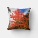 Search for fall winter cushions Forest