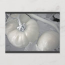 Search for tomato postcards Vegetables