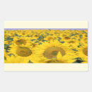 Search for sunflower scrapbook stickers Floral