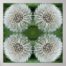 Search for blowball posters Mother