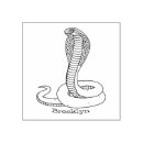 Search for cobras Reptile