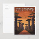 Search for avenue postcards Baobab