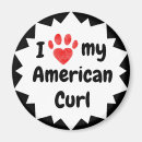Search for curl magnets Cat