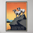 Search for vintage sheep posters Goat