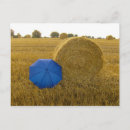 Search for blau postcards Postkarte