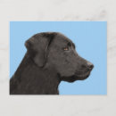 Search for black labrador retriever postcards Cute