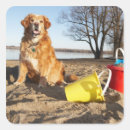 Search for beach dog stickers Animal