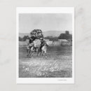 Search for billings postcards Horse