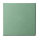 Search for light mint green tiles Solid