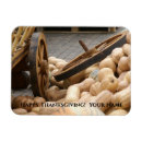 Search for gourd magnets Pumpkins