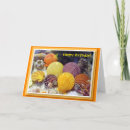 Search for california birthday cards Orange