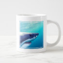 Search for cool shark mugs Great white shark