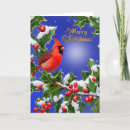 Search for red cardinal bird christmas cards Elegant