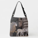 Search for white sheep bags Lamb