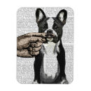 Search for moustached magnets Animals