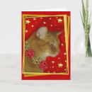 Search for abyssinian cat cards Feline