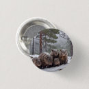 Search for wombat badges Marsupials