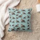 Search for cute otter cushions Wildlife