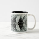 Search for haeckel mugs Biology
