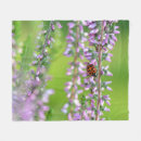Search for ladybird blankets Insect