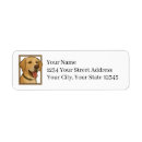 Search for pets return address labels Labrador