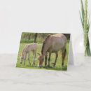 Search for grazing cards Farm