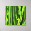 Search for blades canvas prints Nature