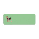 Search for airedales return address labels Animals