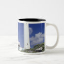 Search for riviera maya mugs Beach