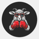 Search for full contact stickers Taekwondo