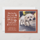 Search for pet adoption invitations Modern
