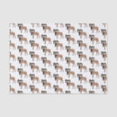Search for goat tissue paper Sheep