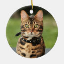 Search for bengal cat christmas tree decorations Pet