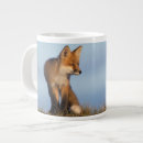 Search for nwr mugs Environment