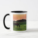 Search for grazing mugs Rural scene