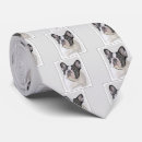 Search for pied ties Frenchie