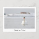 Search for winter greetings postcards Travel