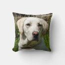 Search for labrador cushions Animal
