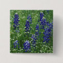 Search for bluebonnet badges Colourful