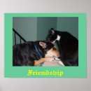 Search for pal art Dog