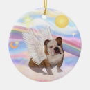 Search for jeans pet supplies Jean fitzgerald